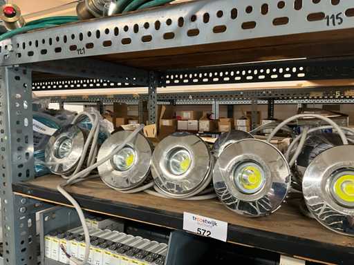 Lampadine LED Cantalupi (9x)