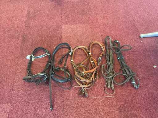 Bridles (6x)