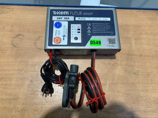 2020 Tricom 24V 30A 200Ah Ladegerät Hubwagen Ameise Gabelstapler Elektrostapler charger