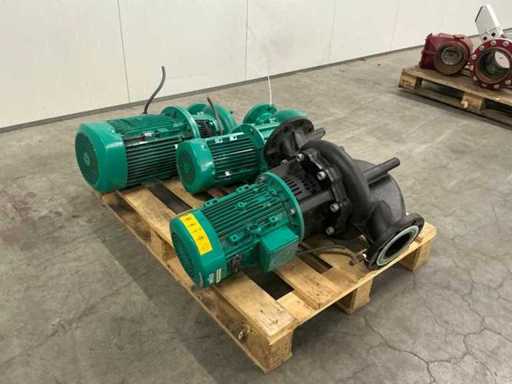 Wilco Zenrufugal Pumpe (3x)