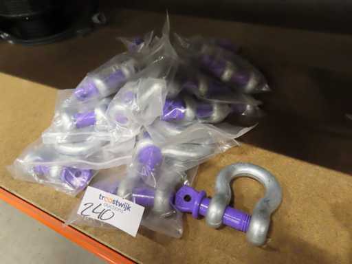 Delta - Shackle (19x)