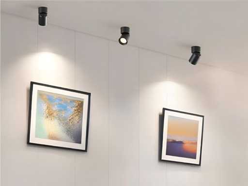 GU10 Luminaire spot monté en surface rotatif (24x)