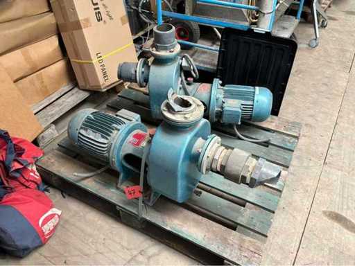 Pompă de apă Goan (2x)