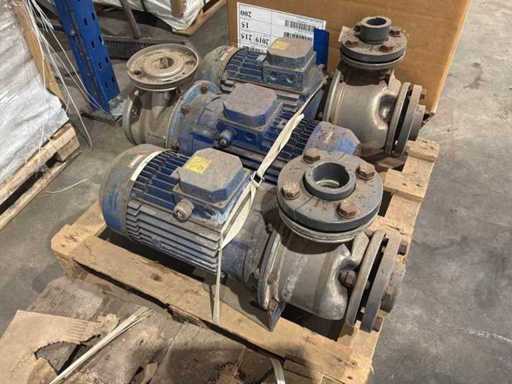 Lowara Waterpomp (3x)