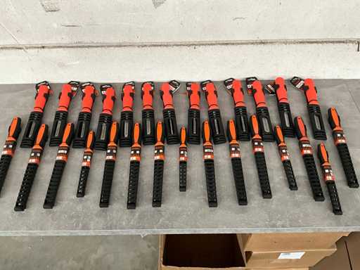 Skandia Diverse beitels en raspen met houder (28x)