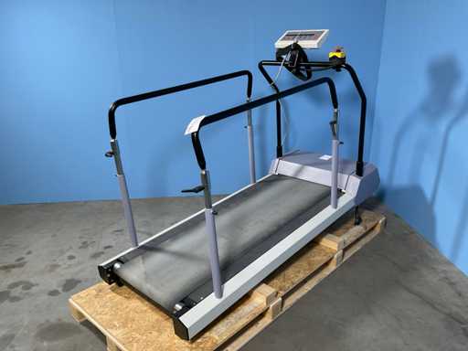 Enraf Nonius - EN-Mill Ergometrieloopband - 2003