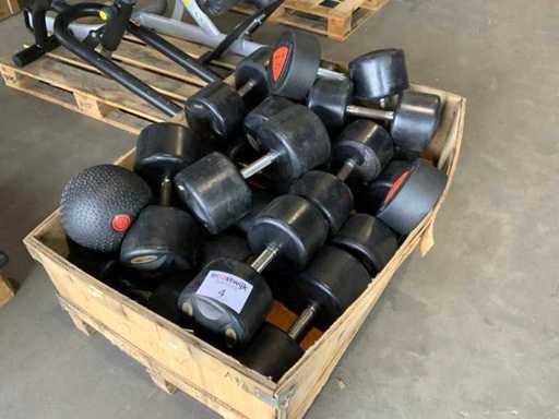 Life maxx mix dumbbells set 34,38,42,44,46kg Krachtstation