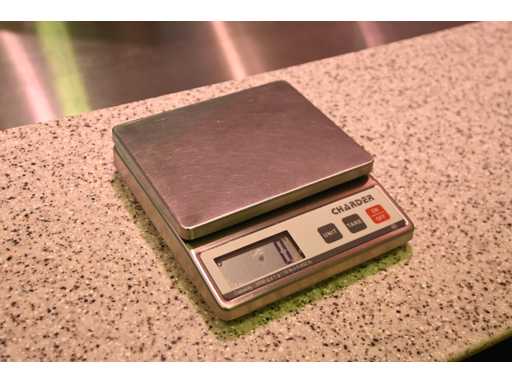 Bilancia digitale in acciaio inox Charder R210