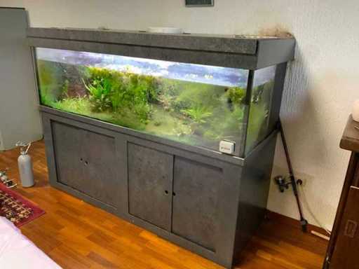 Vollständiger Inhalt des Exekutivbüros 2