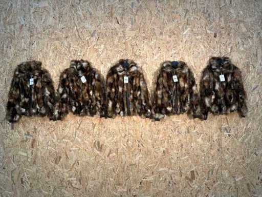 Goosecraft Winter Coat (5x)