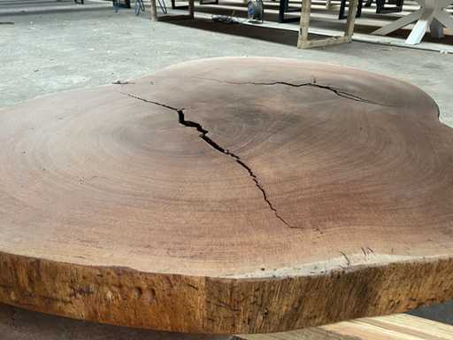 Guyana Teak houten schijf 1100mm