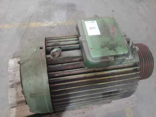Rotor - Motor electric