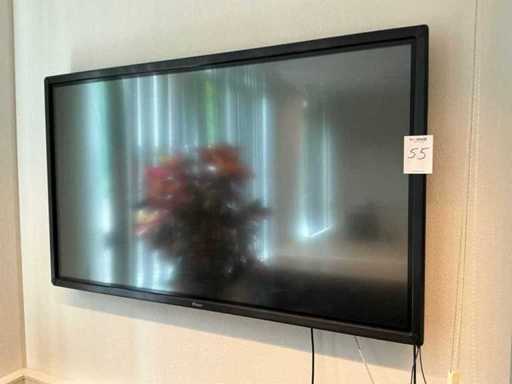 Iiyama Televisie