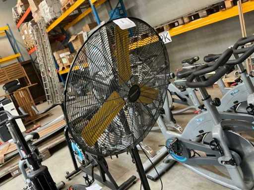 Stanley Fan