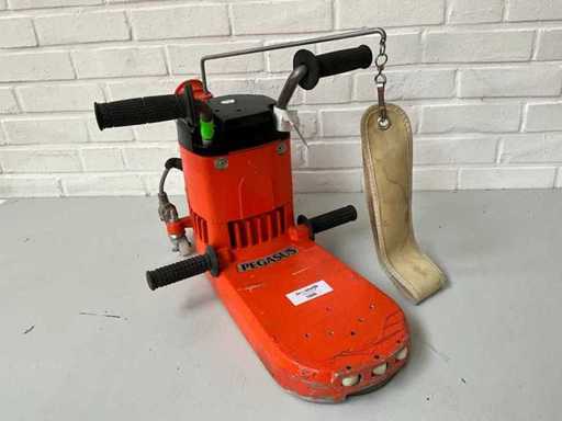 Broyeur électrique Künzle & Tasin Pegasus