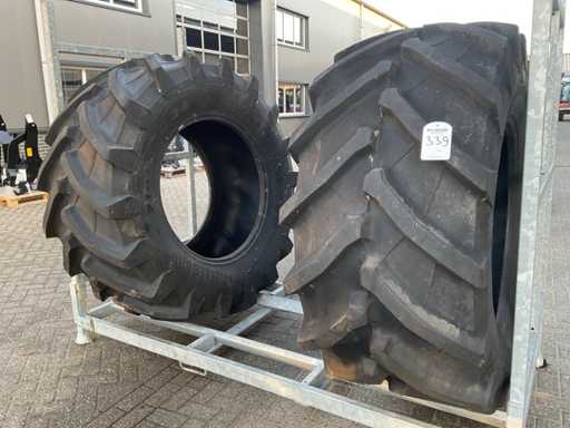 Trelleborg TM900 Tire (2x)