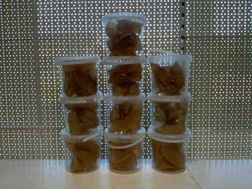 Bucket Chew Shoes Hundesnacks (10x)