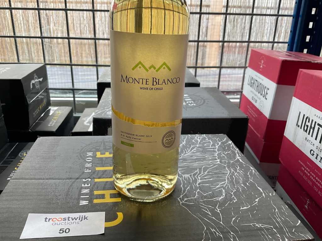2019 - Sauvignon Blanc (60x)