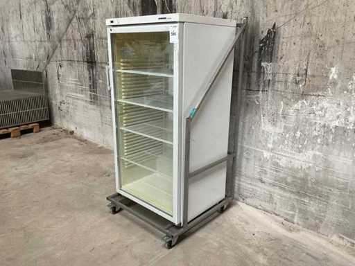 Linia Liebherr Profi UKS 5002 Index 20A / 003 Frigider, ușă de sticlă