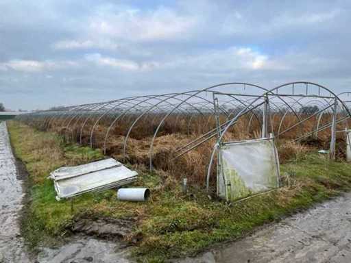 Bruneel Greenhouse (2x)