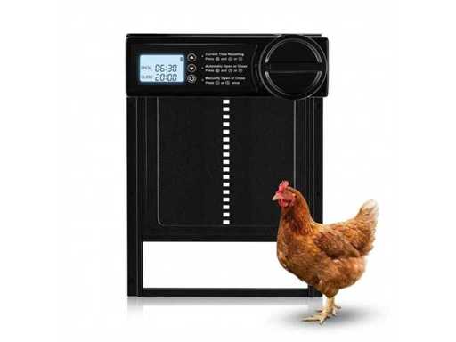 Chicken Flap Automatic with Timer (5x)