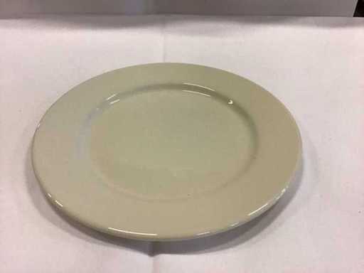 Piastra Dudson (50x)