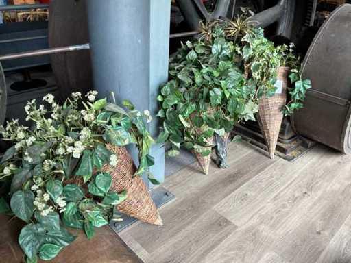 Série de plantes suspendues en plastique