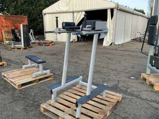 Gym80 Signum legraise/dip Multi-gym