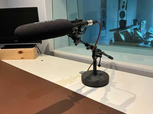 Røde NTG3B microphone directionnel de studio