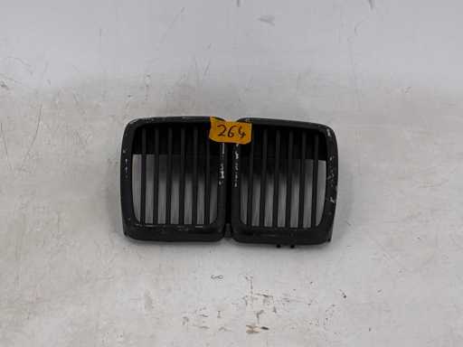 Kühlergrill_Niere_BMW