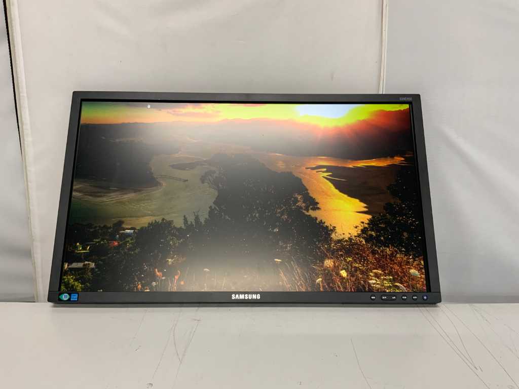 Samsung S24E450 Monitor (63x)