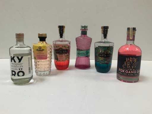 Gin (6x)