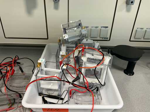 Elektrophorese-Tank-Set