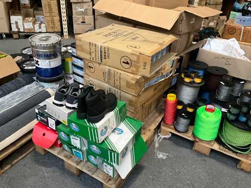 Petrecerea pantofilor