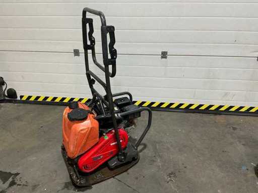 2017 Mikasa Trilplaat