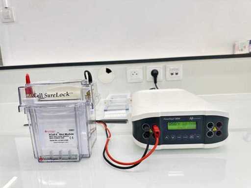 INVITROGEN – Elektrophoresesystem