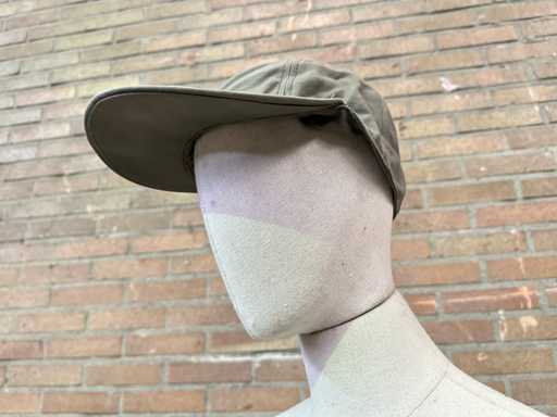 Partidul ?epcilor militare verzi