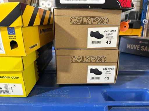 Calypso Low Pair of Work Shoes (2x)