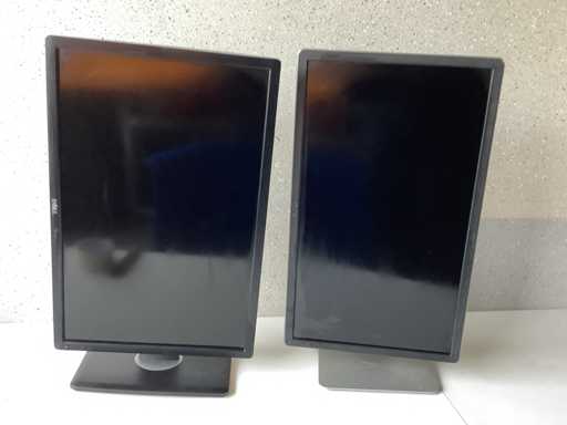 Dell Monitor (2x)
