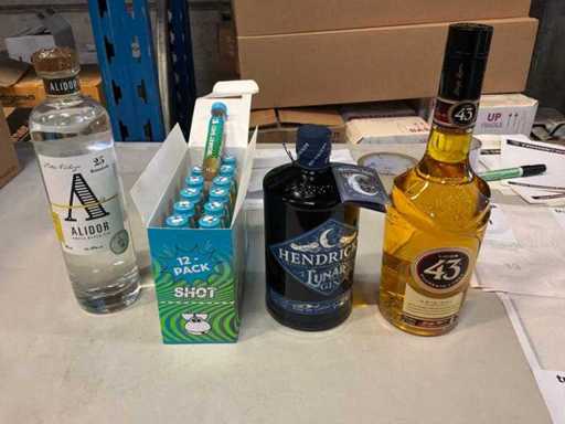 Grande quantità di liquore e gin