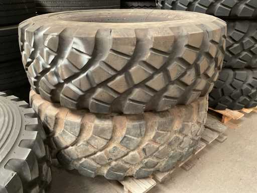 Trupa de Anul Bun (2x)