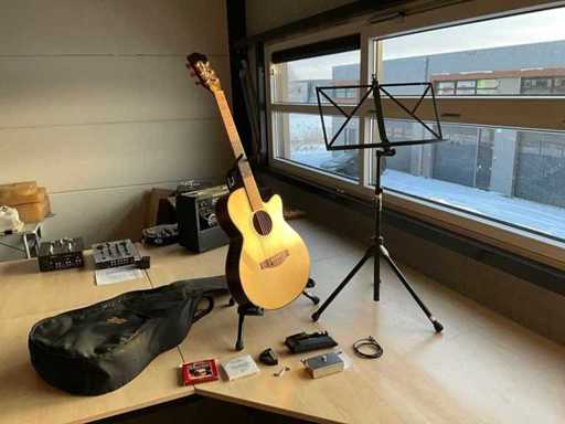 Richwood Artist series Gitaar