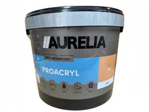Aurelia - ProAcryl - Satin Blanc - 15L Paint (24x)