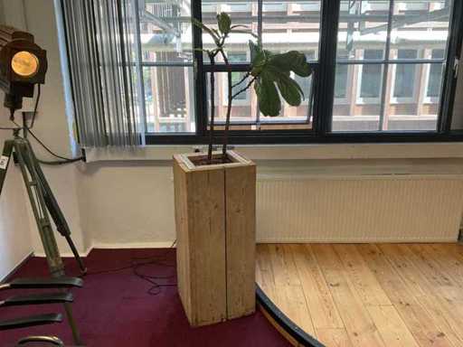 Hydroponic Plant With Pot