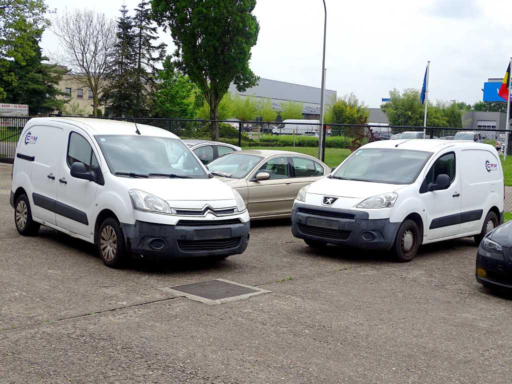duo vans Citroën Berlingo HDi & Peugeot Partner HDi (progetti)