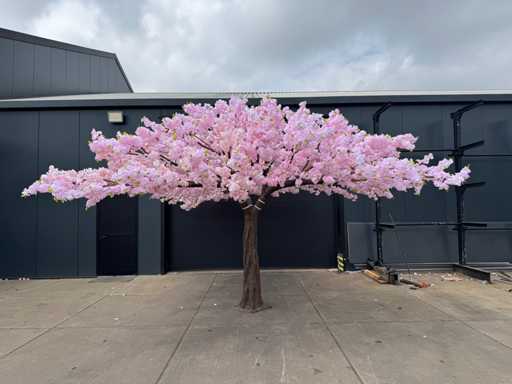 Kwiat wiśni - 6m x 6m (1x)