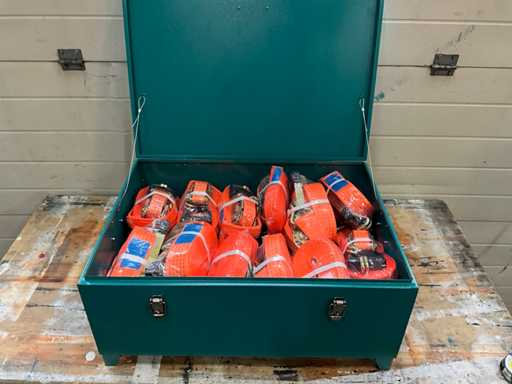 Zurrgurt-Set mit Aufbewahrungsbox