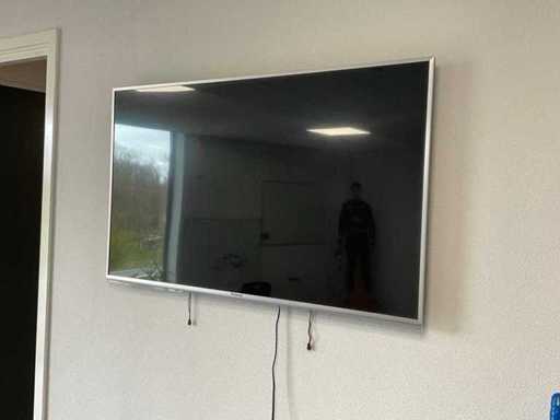 Panasonic 48" Fernseher