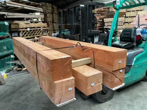 Douglas-Gartenpfosten 250x20x20 cm (5x)