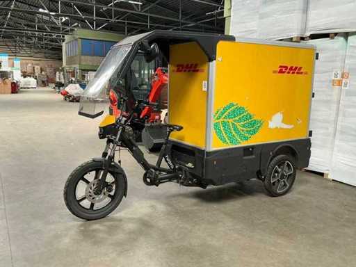 Fulpra 3000L vélo cargo à double batterie Vélo de transport électrique